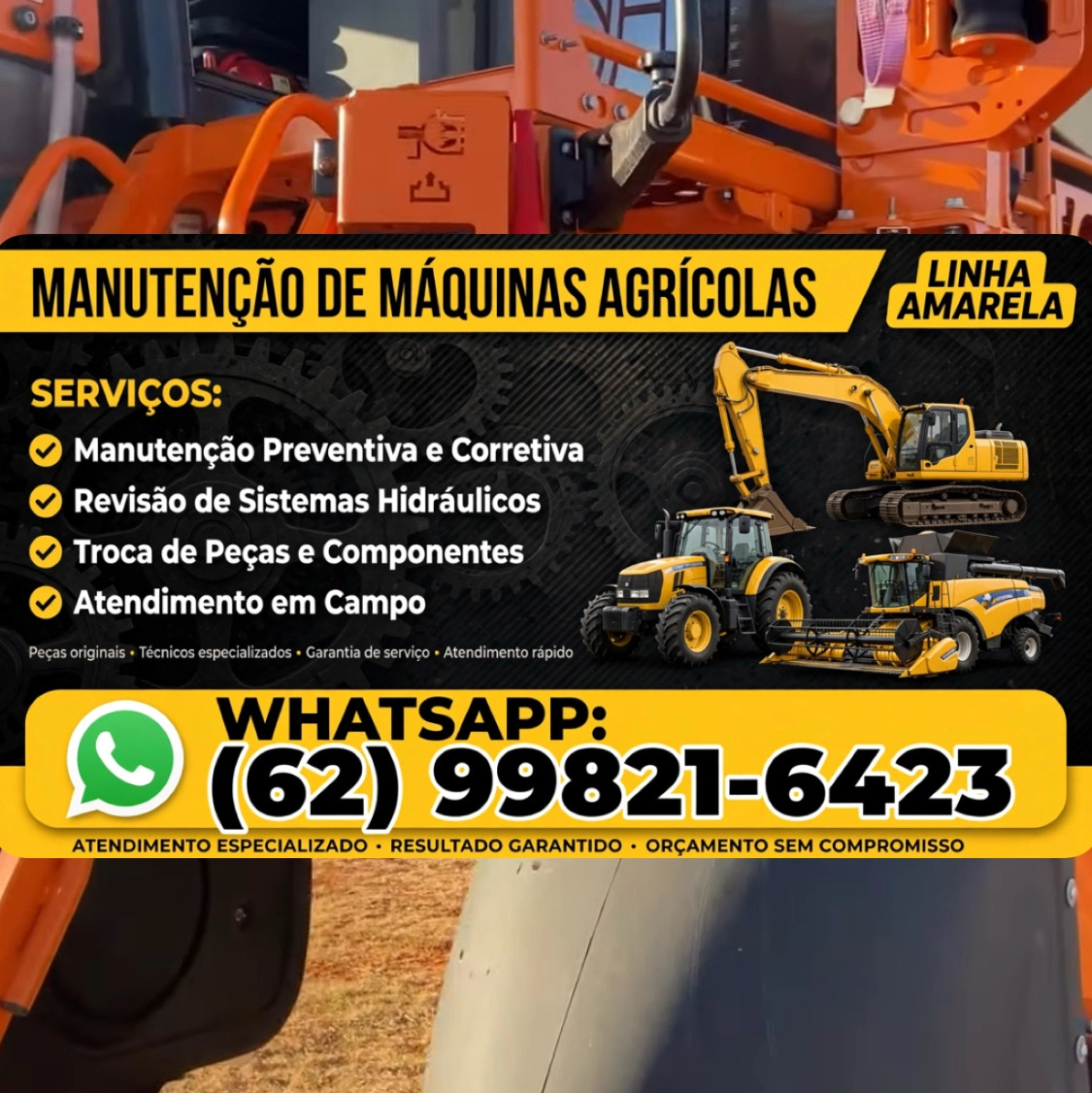 Imagem 1